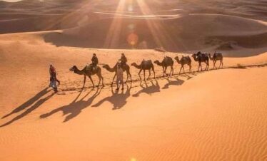 Camel caravan at sunset during 3-day Tour From Sahara To Fes