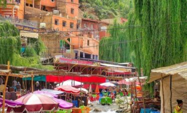 Day Trip to Ourika Valley from Marrakech