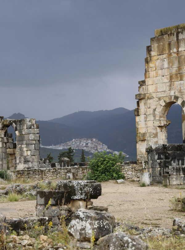 Day Trip to Volubilis from Fes