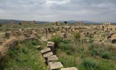 Day Trip to Volubilis from Fes