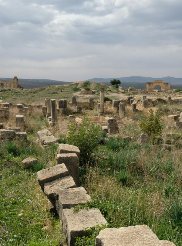 Day Trip to Volubilis from Fes