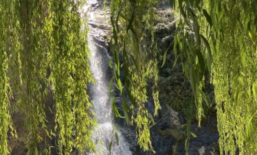 Day Trip to Ourika Valley from Marrakech