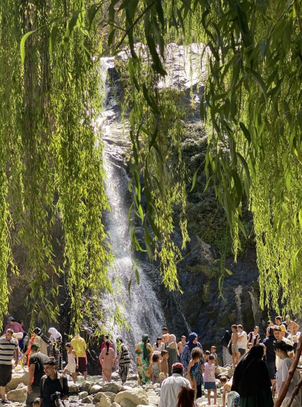 Day Trip to Ourika Valley from Marrakech