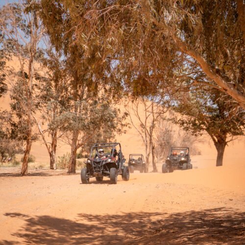 5 days morocco desert students trip