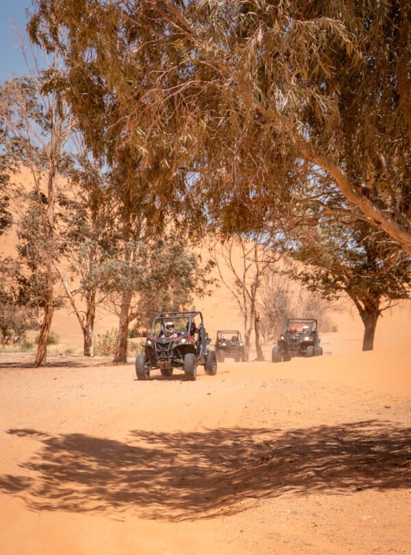 5 days morocco desert students trip