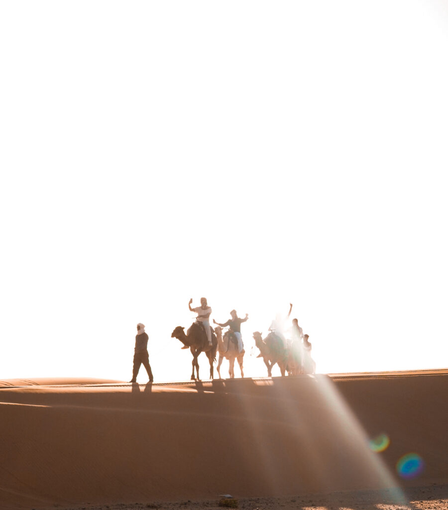 students riding the camels