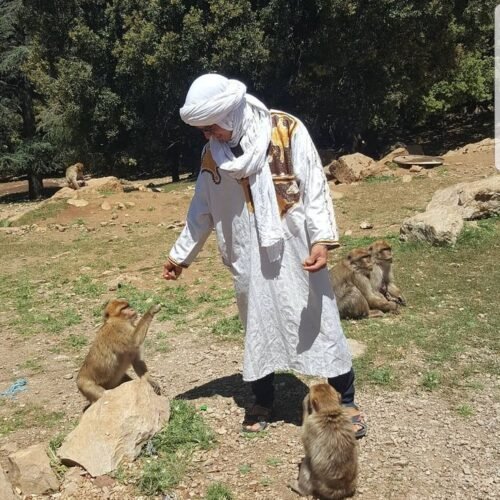5 days morocco tour from tangier