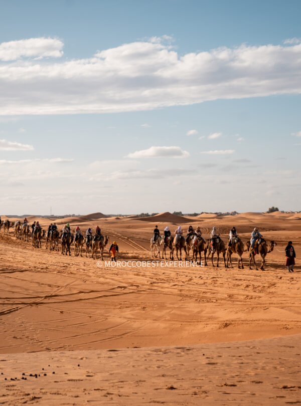 students riding camels