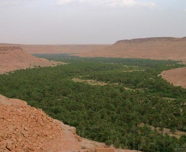 casablanca to marrakech desert tour 4 days
