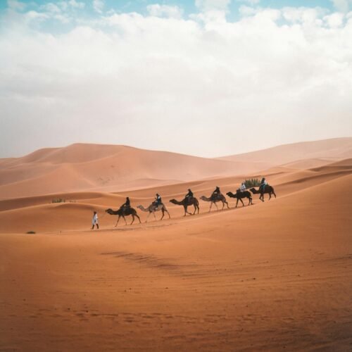2 days fes from marrakech desert tour