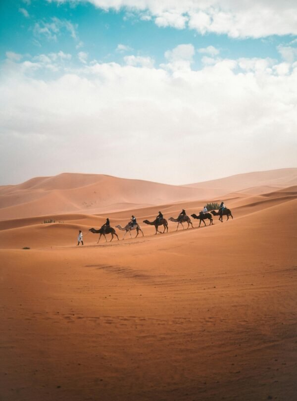 2 days fes from marrakech desert tour