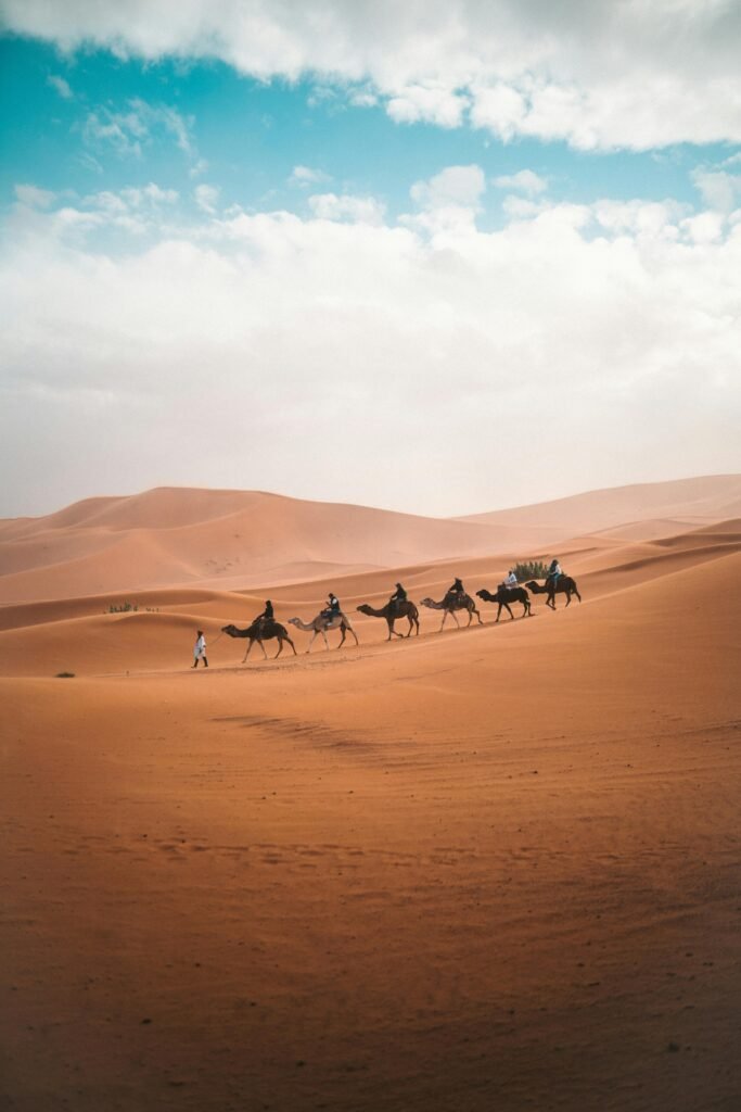 2 days fes from marrakech desert tour